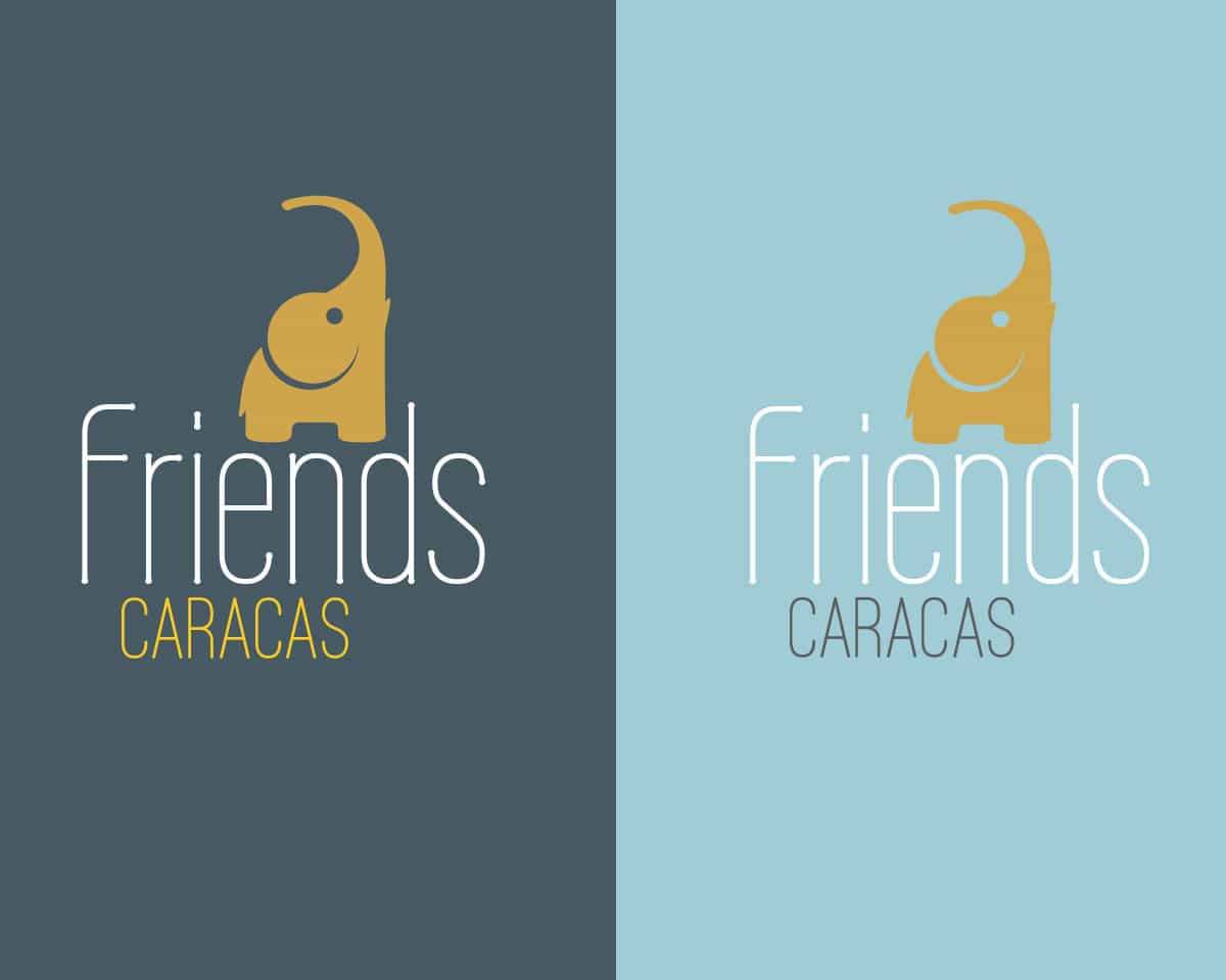 Friends Store Branding Fabi Paolini