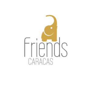 Friends Branding + logo design + web design Fabi Paolini