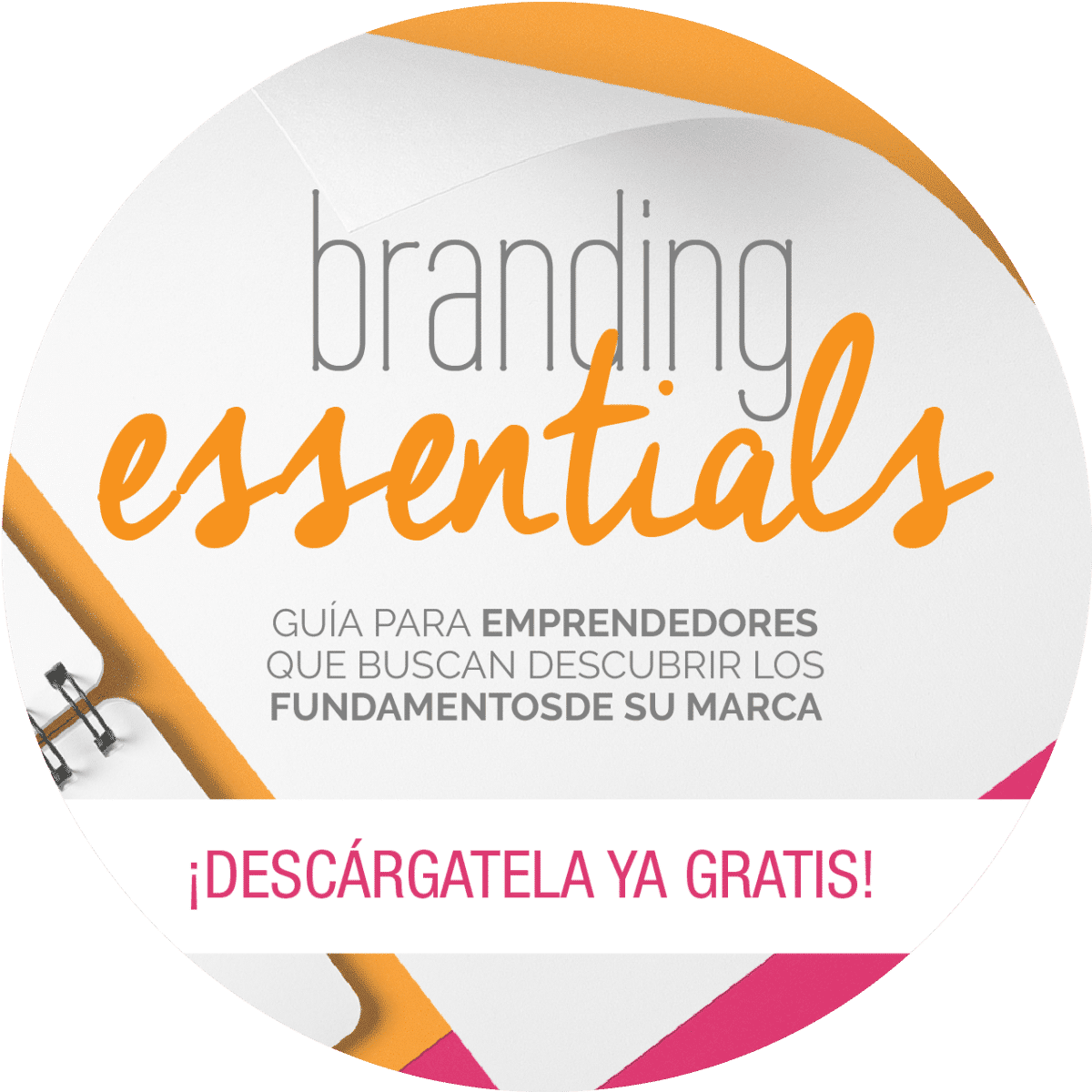 Understanding Branding Beyond the Logo | Fabi Paolini
